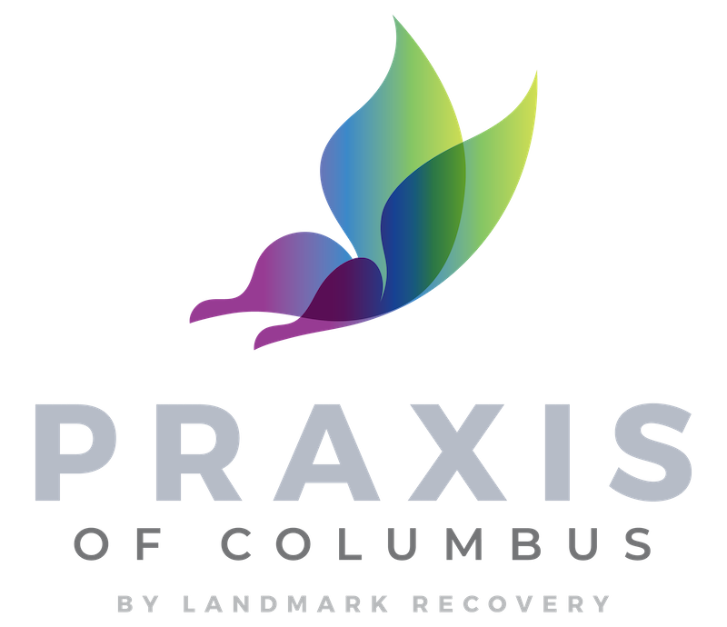 praxis logo