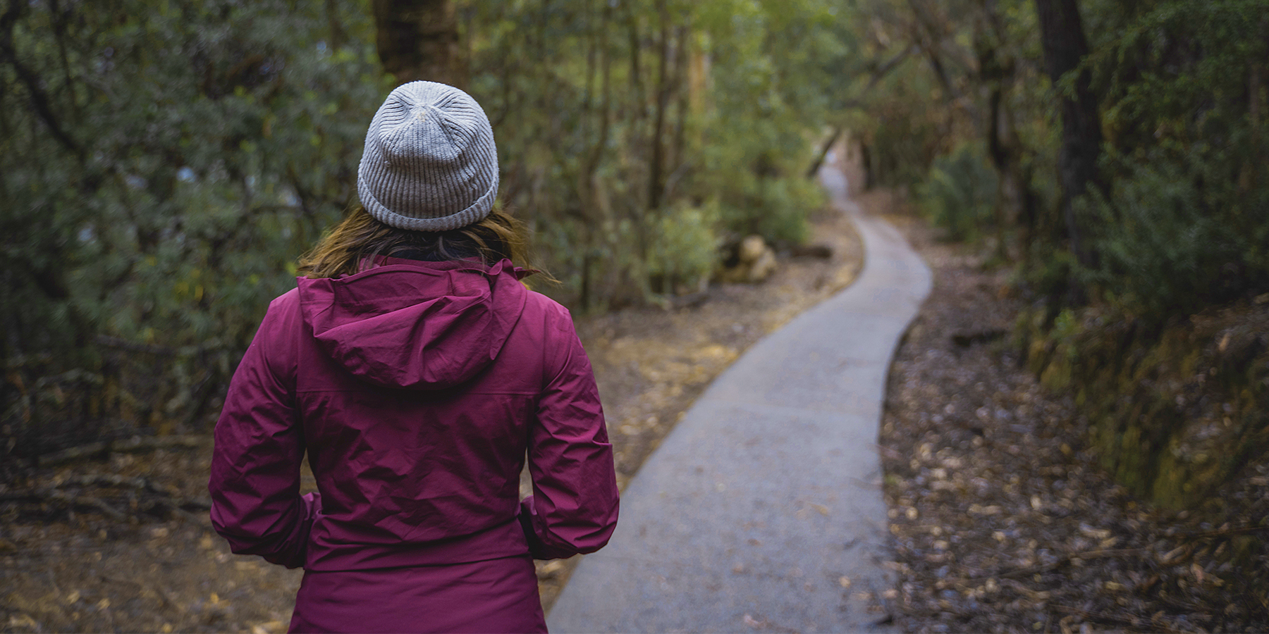 Woman walking down a wooded path to visualize someones journey through PHP.